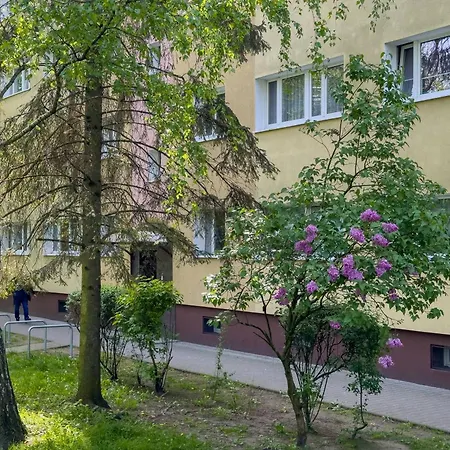 Bukowska Elegancki Z 1 Sypialnia I Biurkiem By Renters *